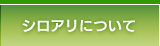 シロアリについて